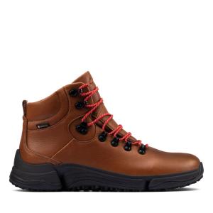 Clarks Tri Path Day GORE-TEX Kadın Bilek Boy Bot Koyu Kahverengi | CLK642TKU